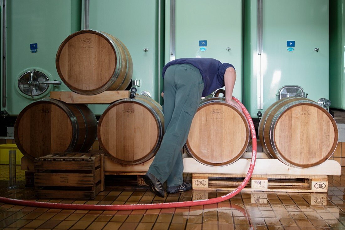 Kellermeister füllt Wein in kleines Holzfass, unteres Aaretal