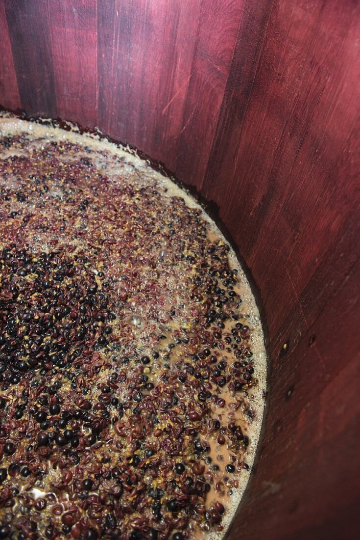 Red wine mash fermenting in an open wooden vat, lower Aaretal