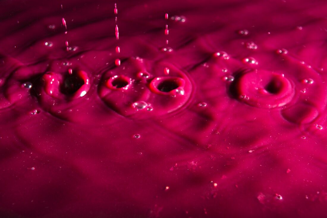 Young red wine dripping from a wine press, making red wine