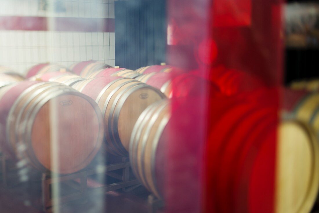 Wooden barrels behind a transparent plastic curtain