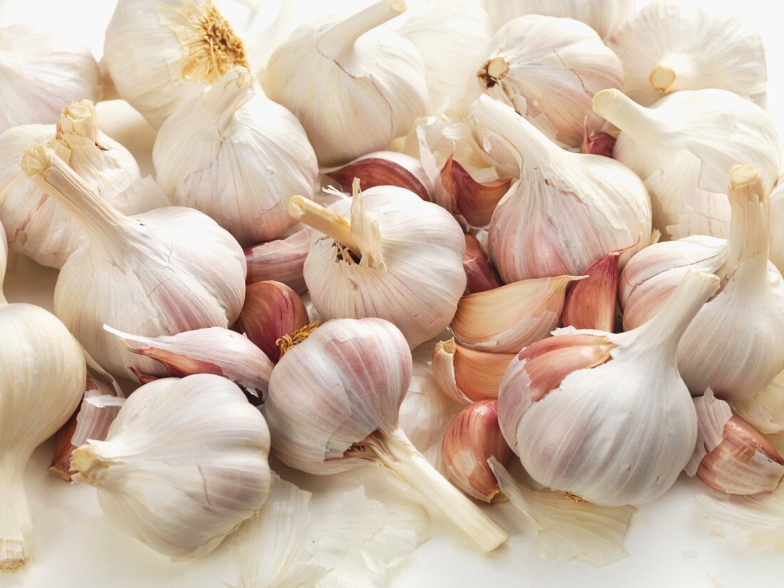 Many Fresh Garlic Bulbs