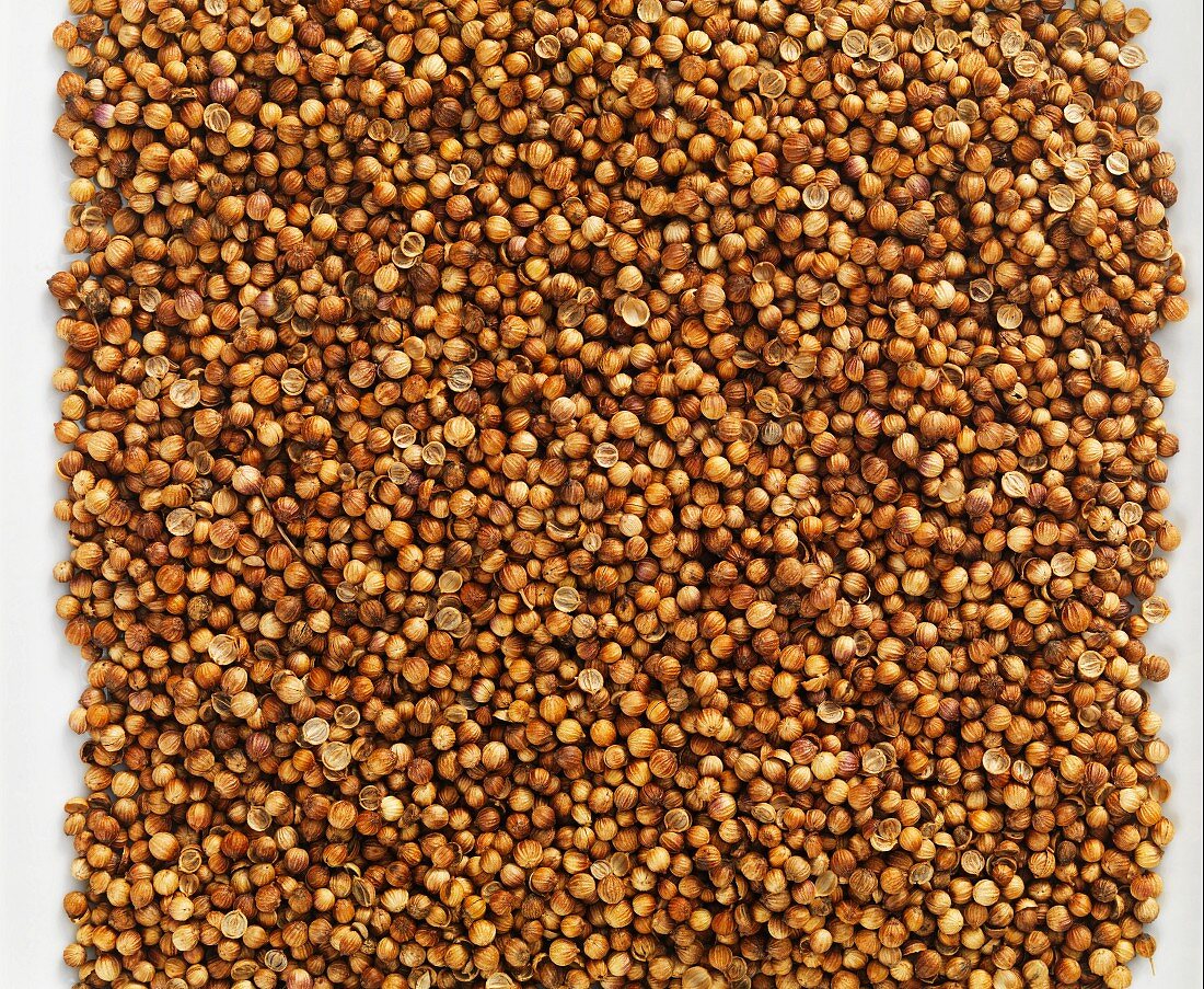 Coriander seeds seen from above