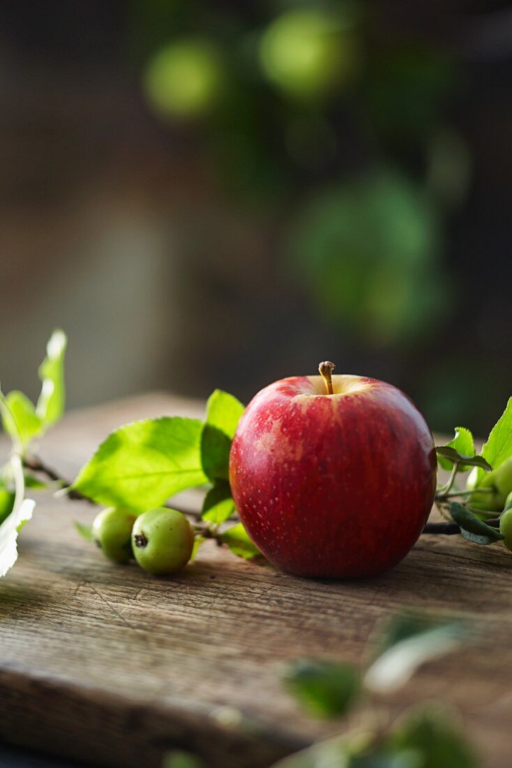 Fresh red apple and a sprig from an ornamental apple tree on a wooden board in a garden