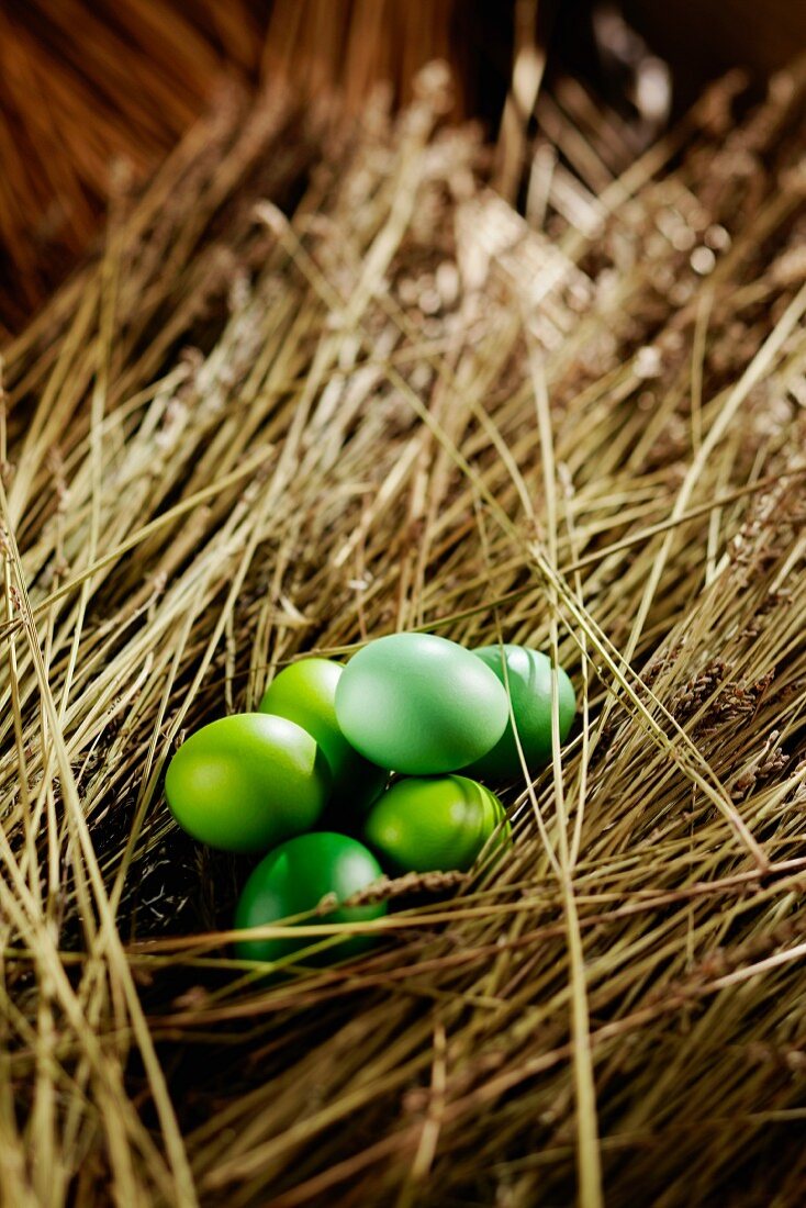 Green Easter eggs in straw