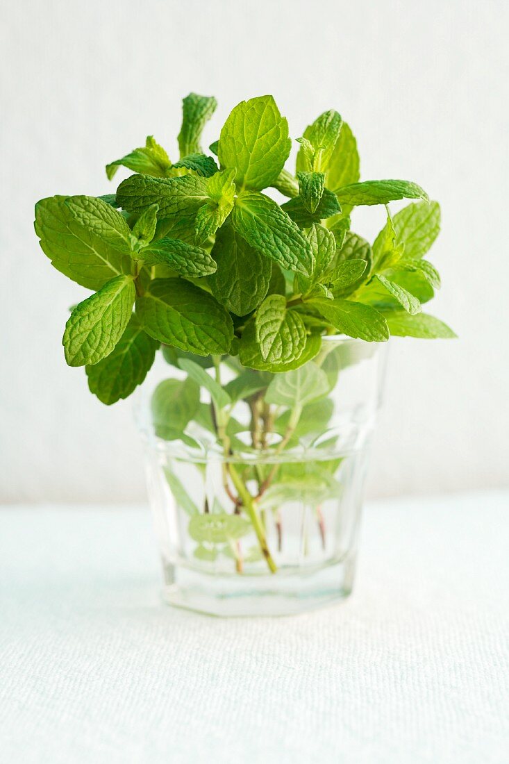 Frische Pfefferminze im Glas