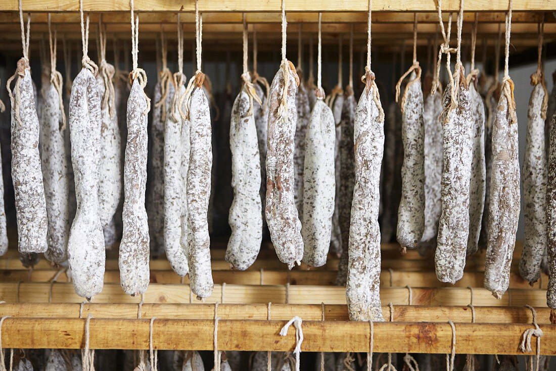 Fuet sausages hanging up (air-dried hard sausage from Catalonia)