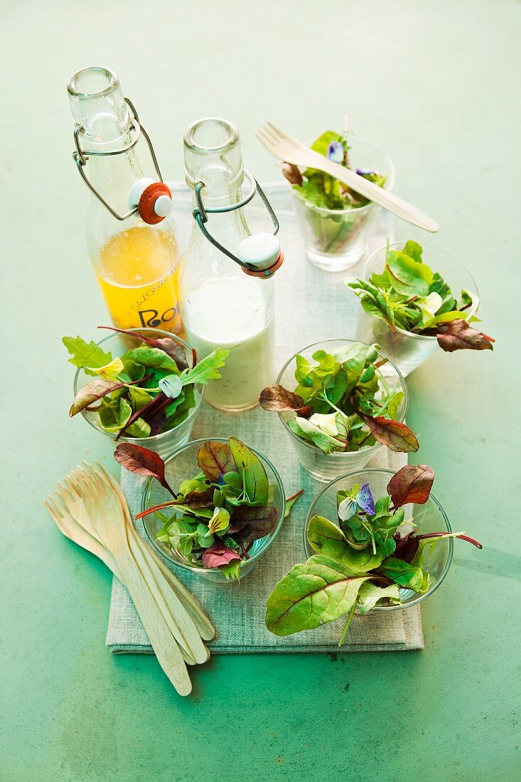 Mixed leaf salads with vinaigrette and yogurt dressing