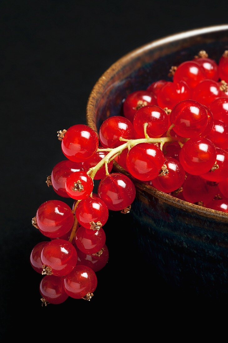 Rote Johannisbeeren in einer Schüssel (Close Up)