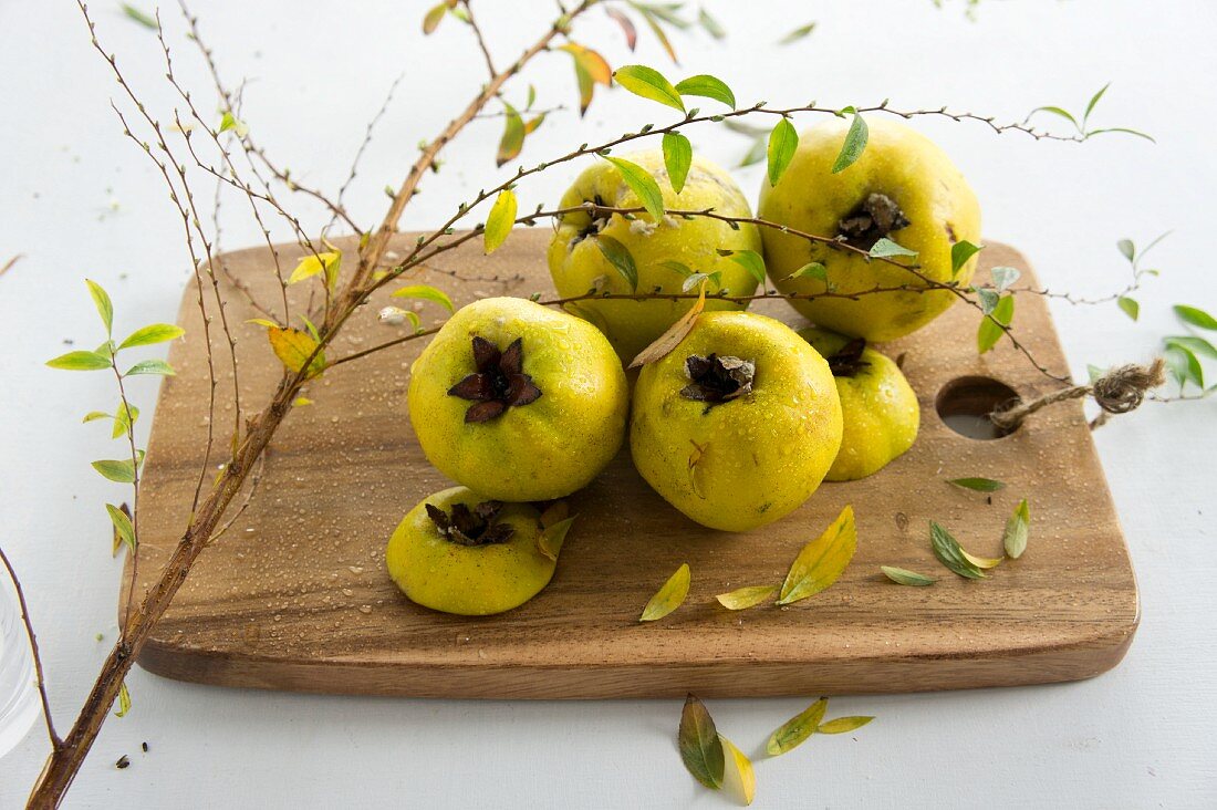 Frische Quitten auf Holzbrett