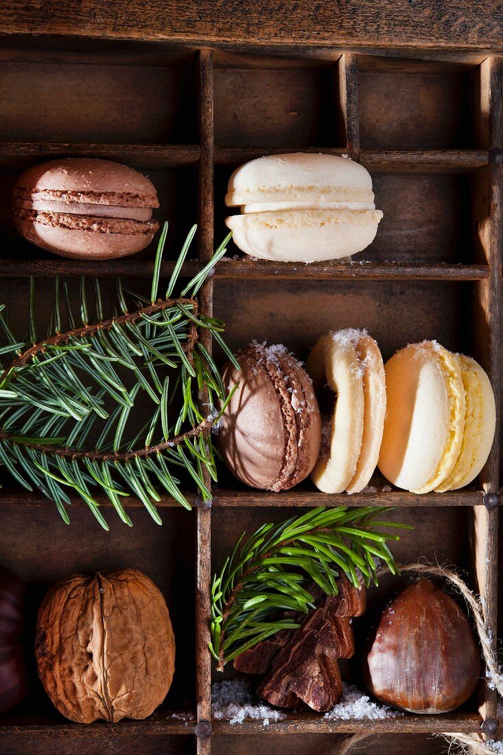 Various macaroons and nuts in a seedling tray