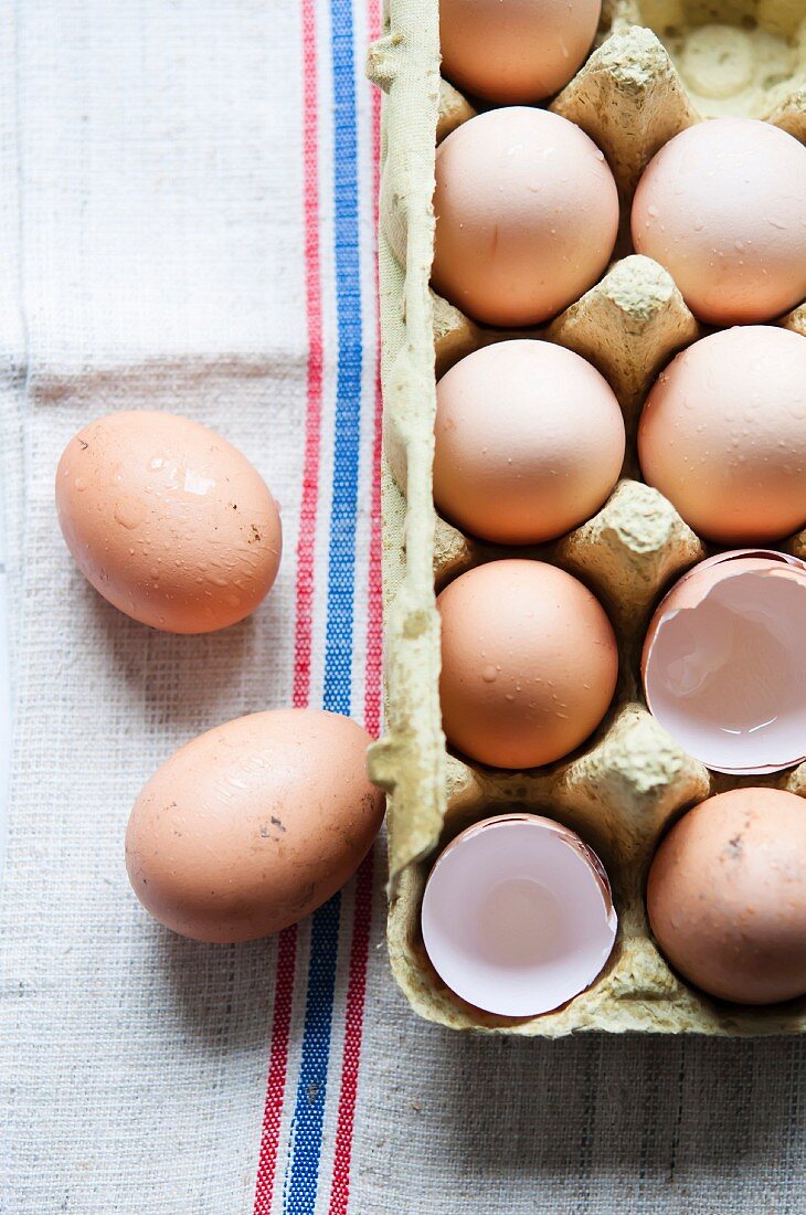 Eierkarton mit Bio-Eiern und zerbrochenen Eierschalen
