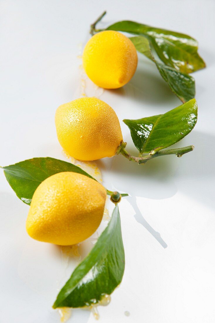 Lemon sweets with leaves