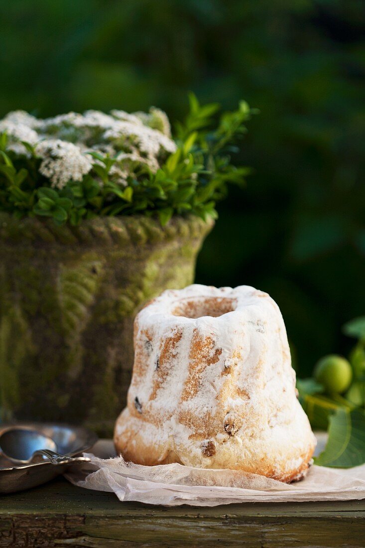 A Bundt cake in front of a terracotta pot with sprigs of leaves