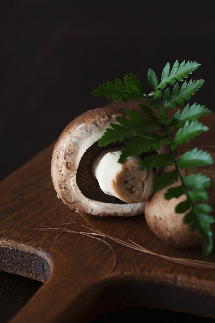 Brown mushrooms on a wooden board with fern leaves