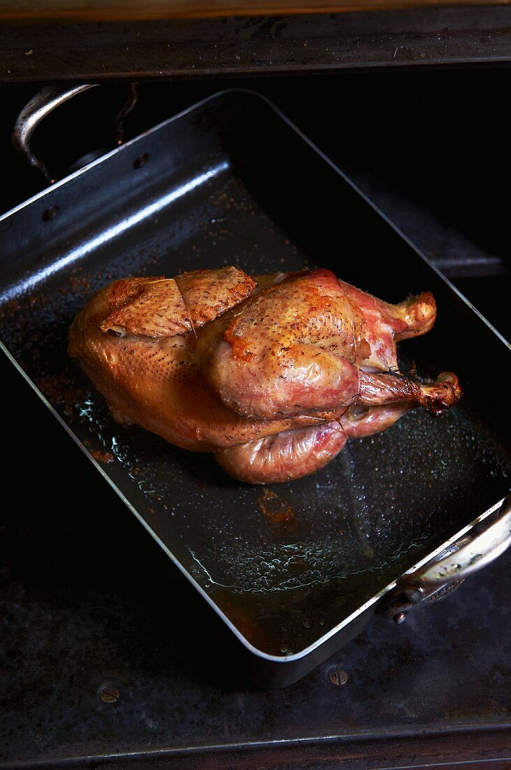 Roast chicken barding in a roasting dish