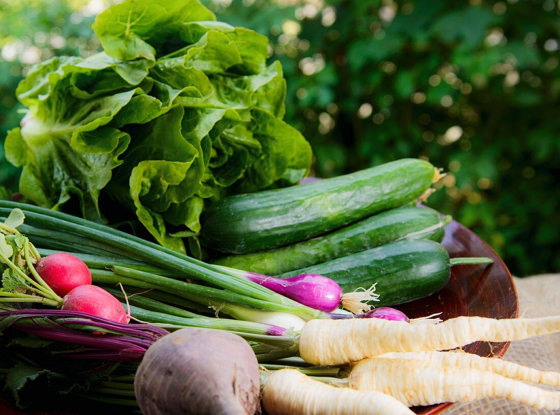 Frisches Gemüse und Kopfsalat im Korb auf Gartentisch