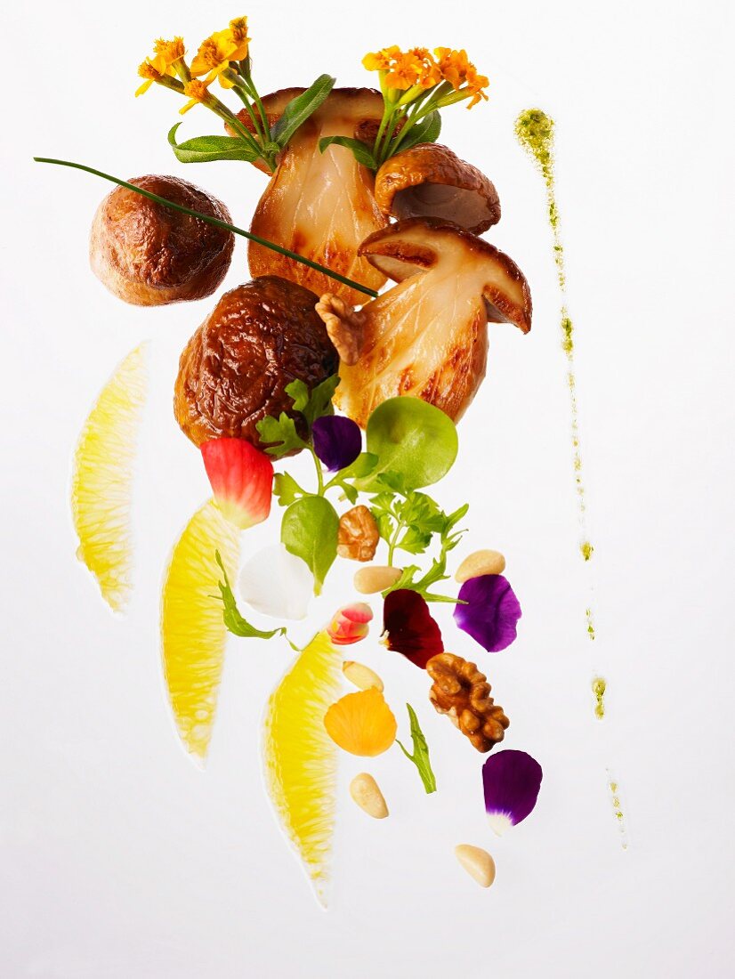 An arrangement featuring porcini mushrooms and ingredients