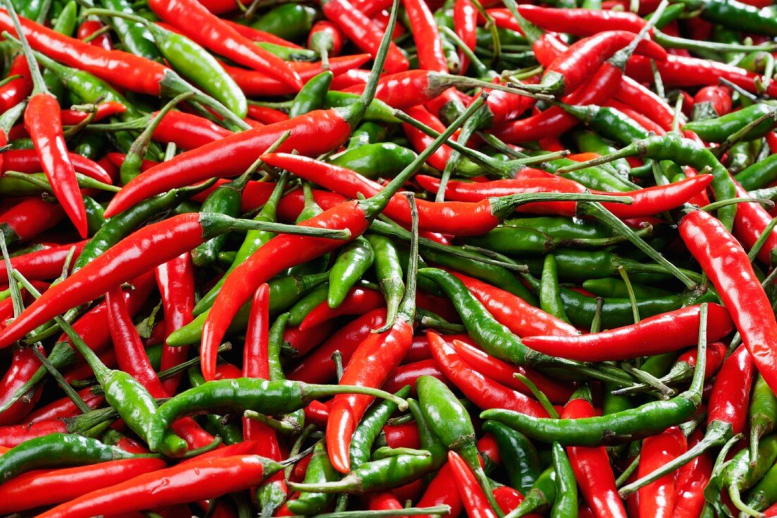 Red and green chillies