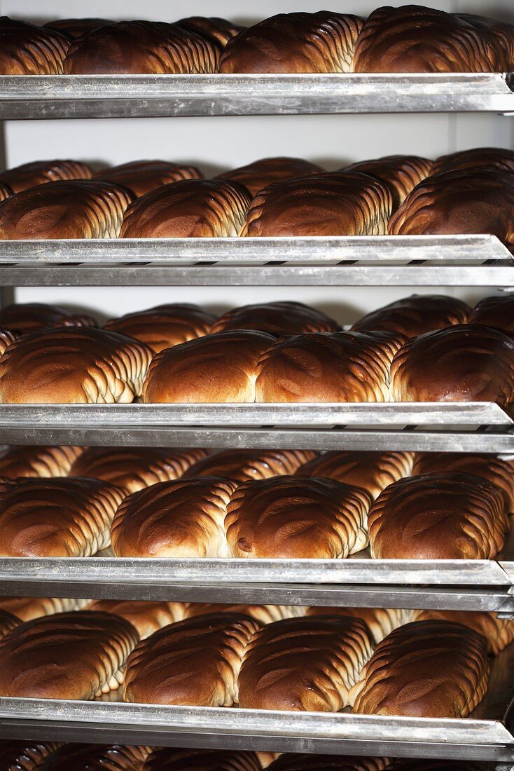 Freshly baked bread on shelves in a bakery