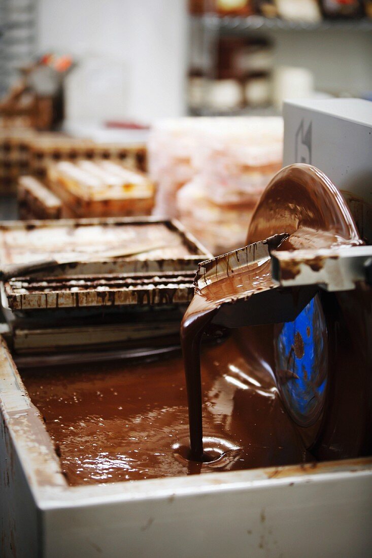 Pralines being made in a factory