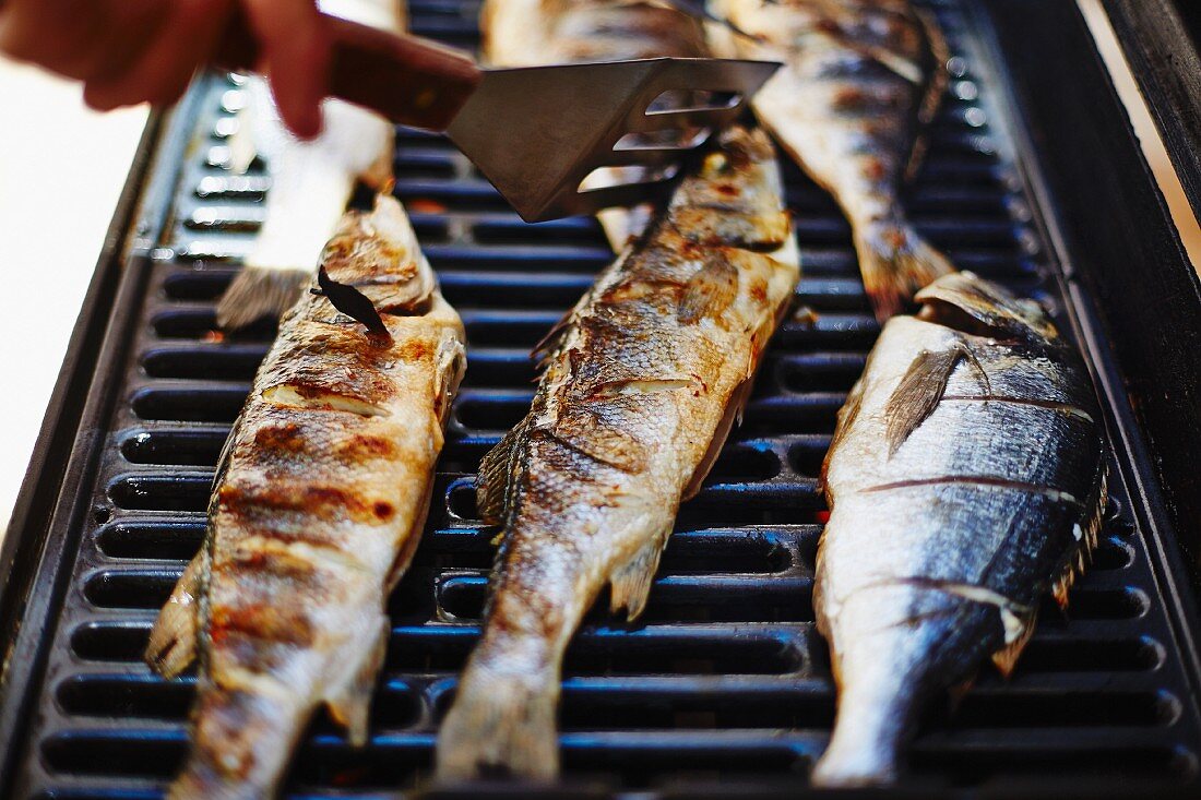 Grilled bass on a barbecue