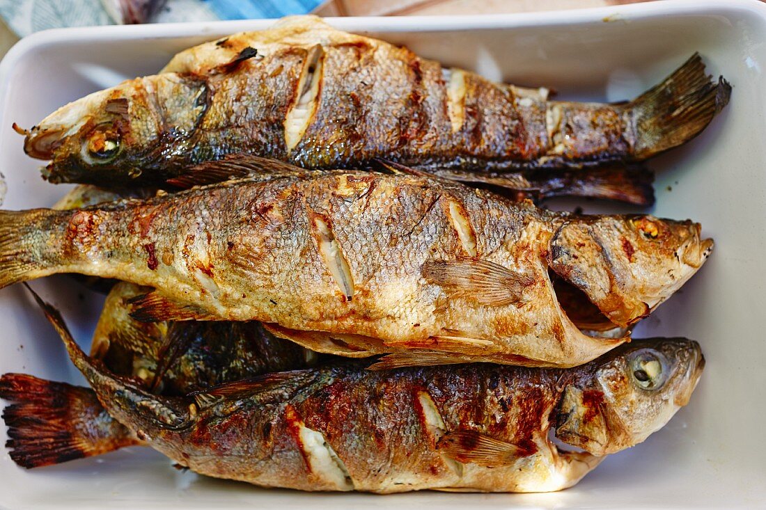 A plate of grilled fish