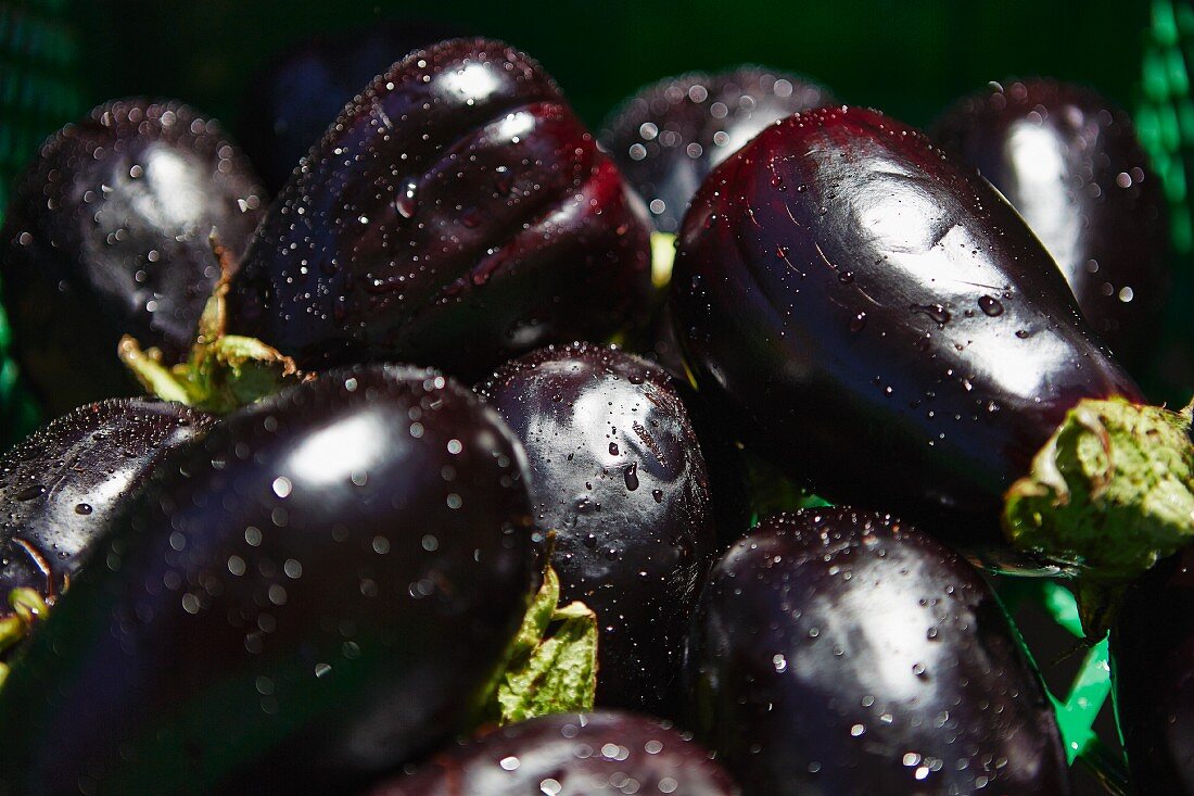 Fresh aubergines