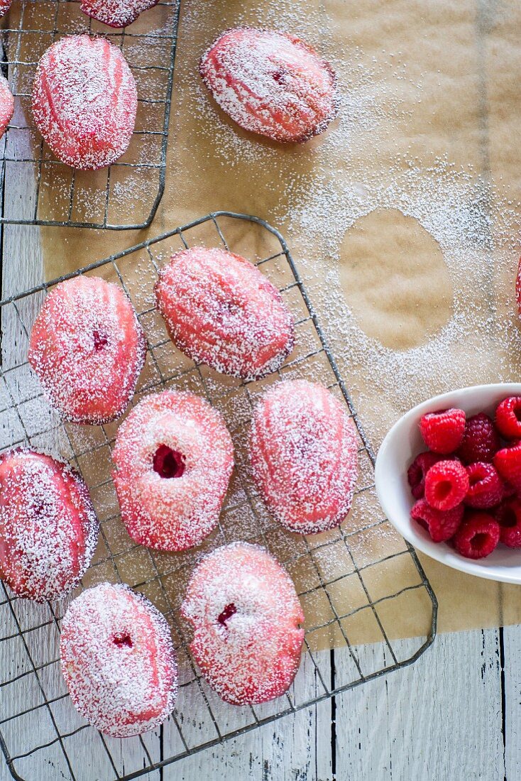 Raspberry madeleines dusted with icing sugar