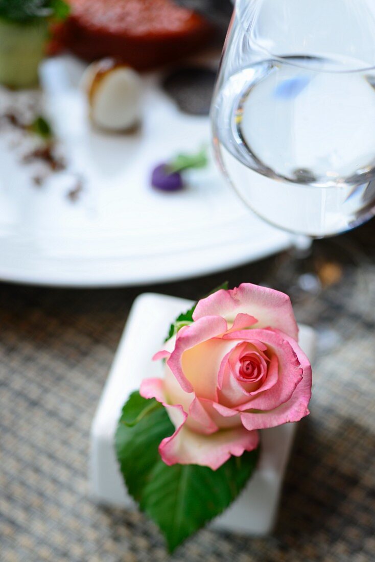 Tischdeko mit Rosenblüte neben Wasserglas