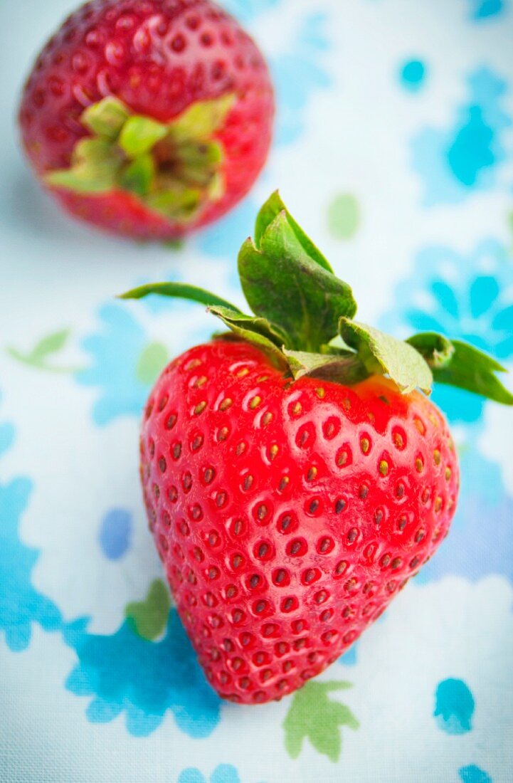A close up of two organic strawberries