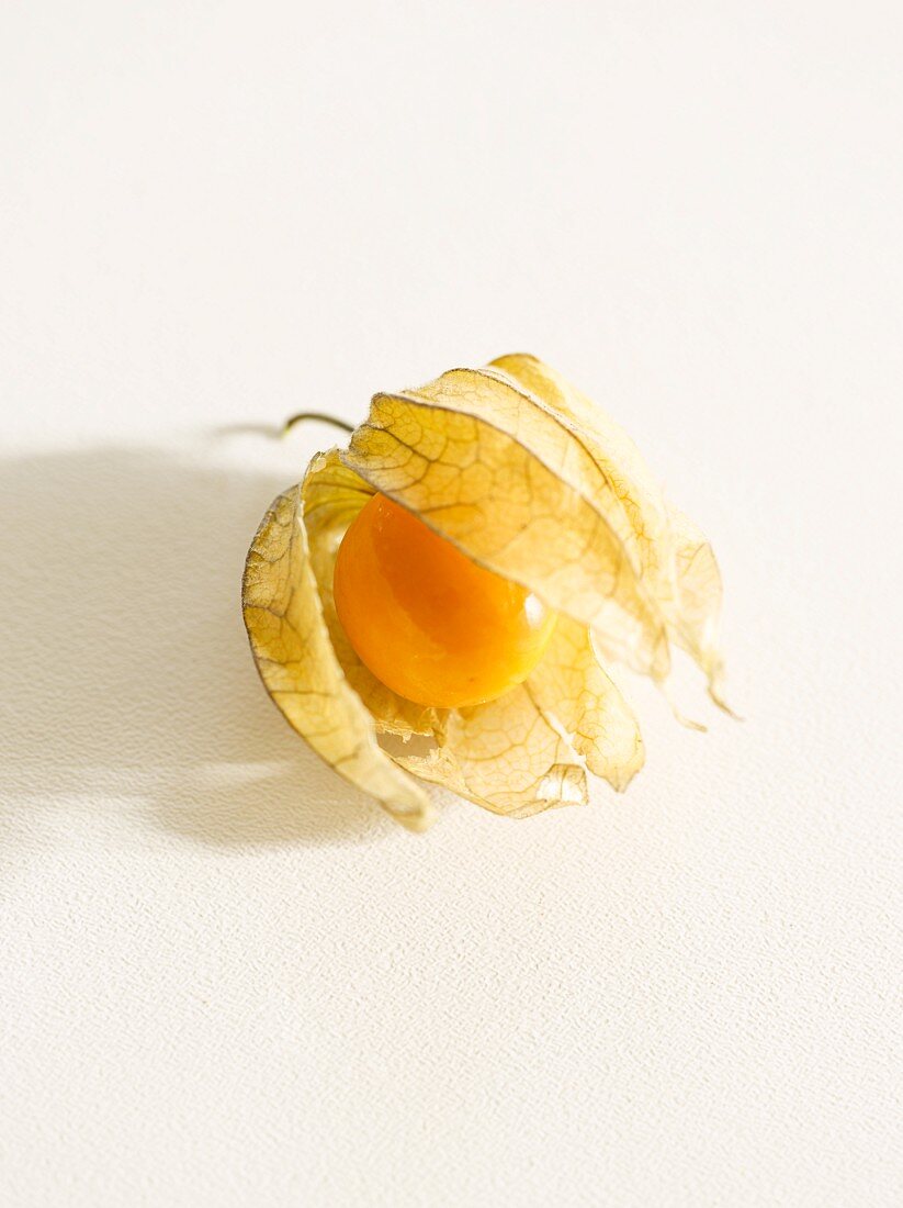 Eine Physalis