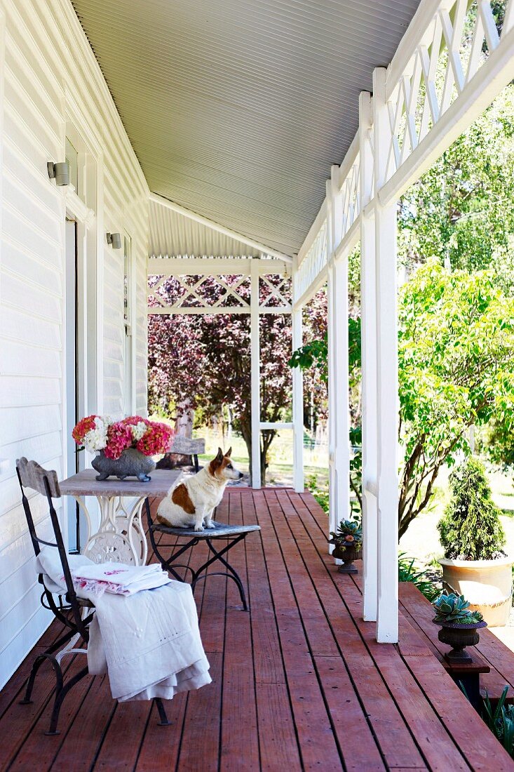 Vintage-Gartenmöbel mit Hund auf der Veranda eines Holzhauses