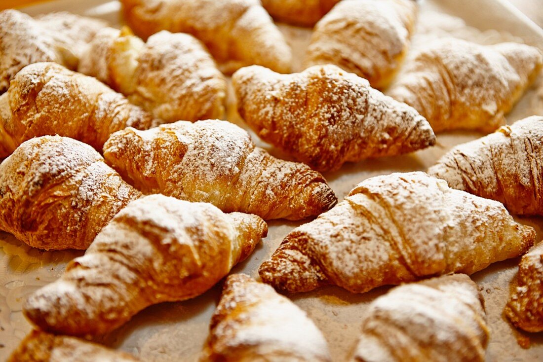 Viele Croissants mit Puderzucker