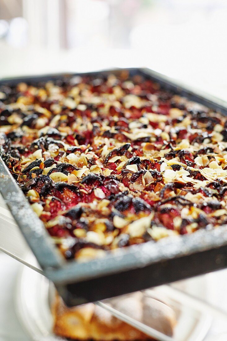 Damson tray bake with almonds