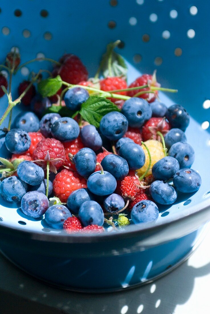 Summer berries in a colander