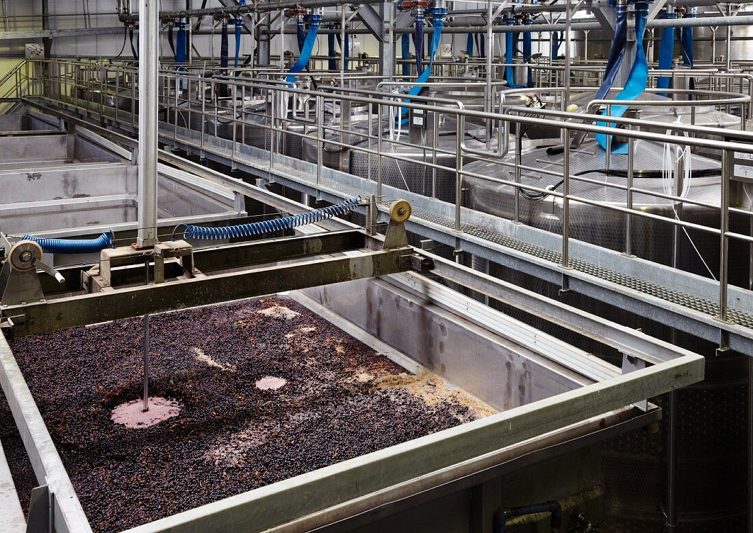 Pigeage Maschine auf Gärtank mit Pinotage im Weingut von Nederburg, Paarl, Südafrika