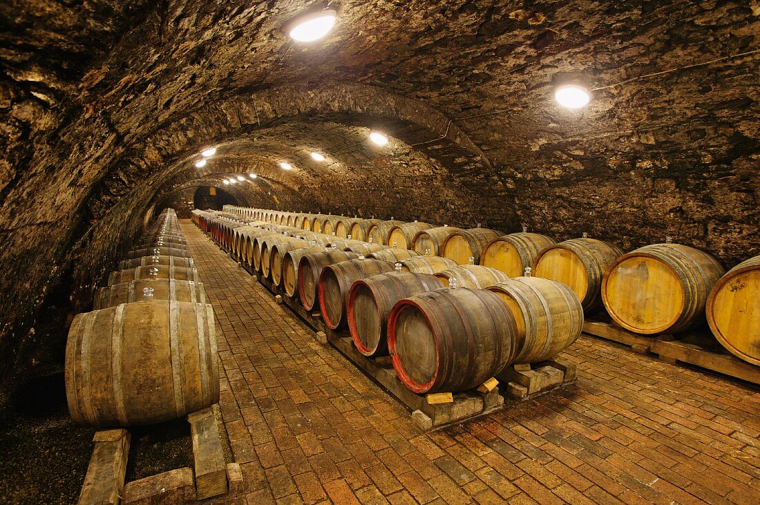 Fasskeller der Kiralyudvar Winery, Tarcal, Ungarn