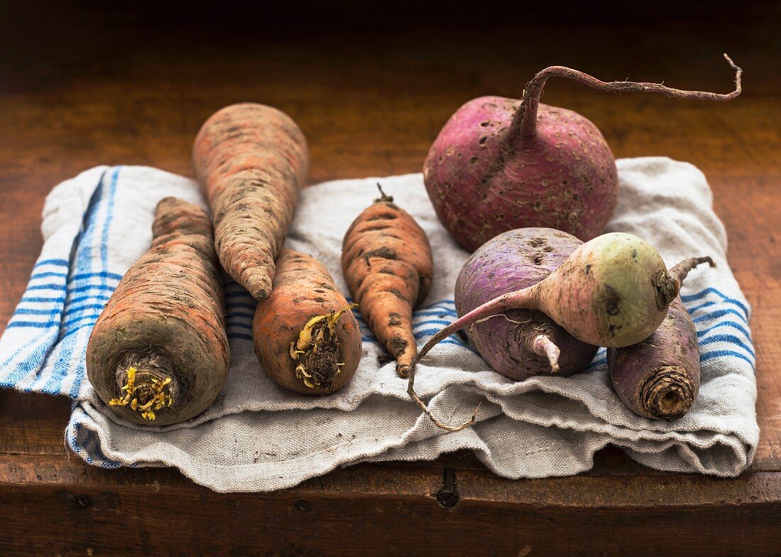 Carrots and turnips on a tea towel