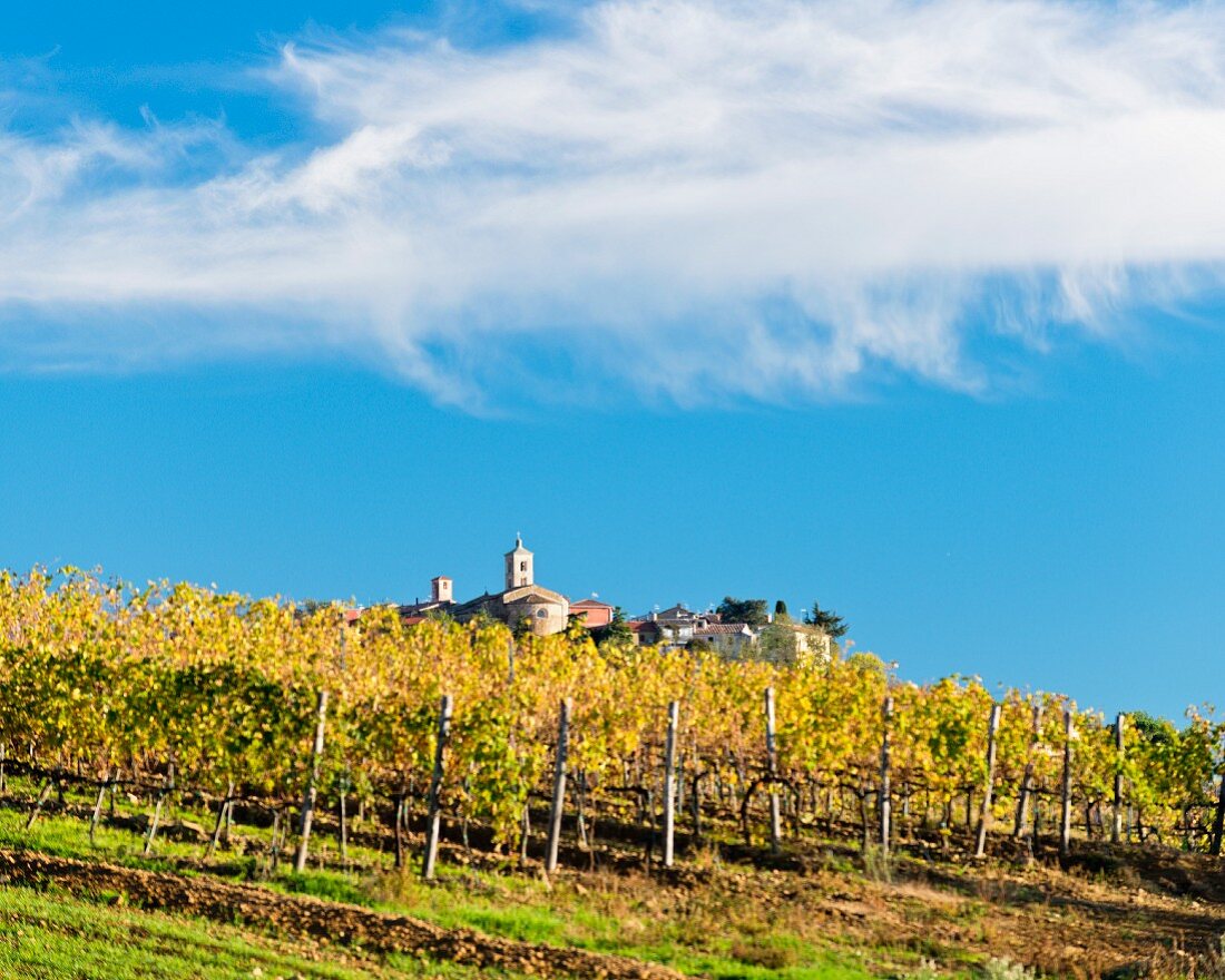 Herbstlicher Weinberg mit kleinem Ort im Hintergrund, Toskana, Maremma