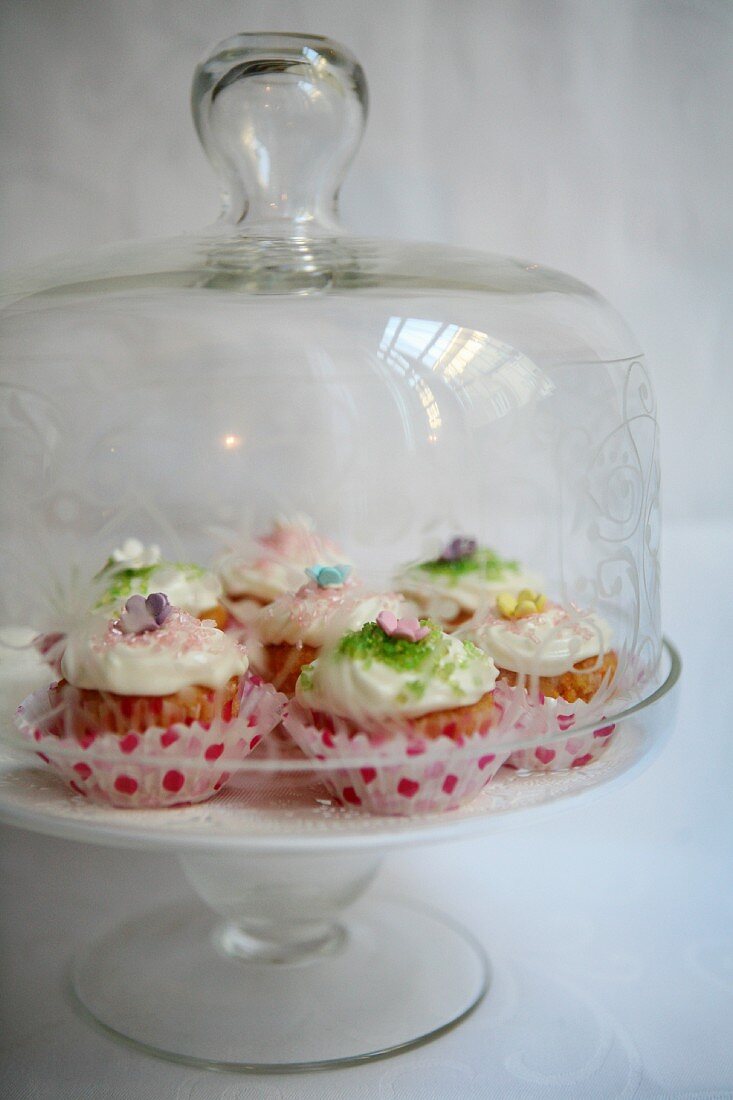 Frühlings-Cup Cakes unter einer Glasglocke