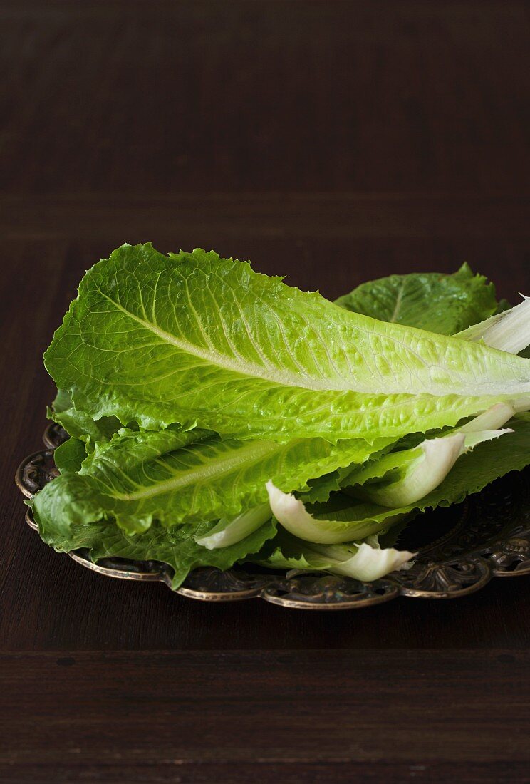 Romaine lettuce leaves on a metal plate