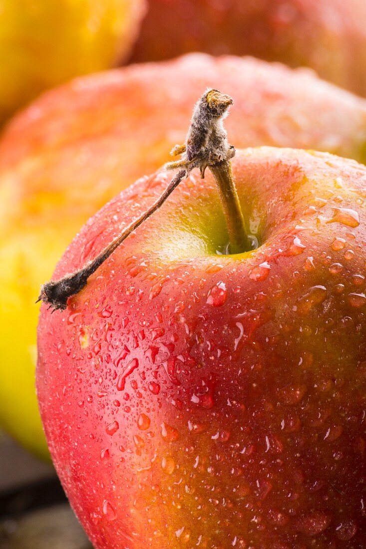 Äpfel mit Wassertropfen (Close Up)