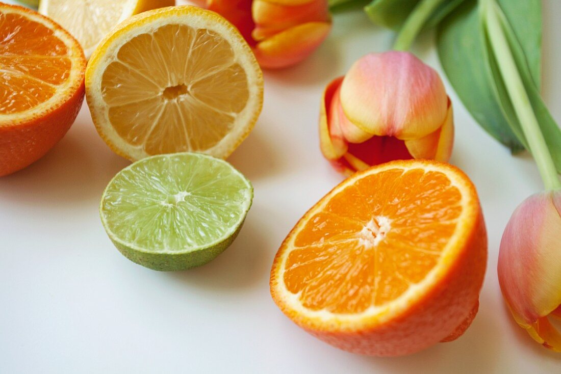 Various halved citrus fruits and tulips