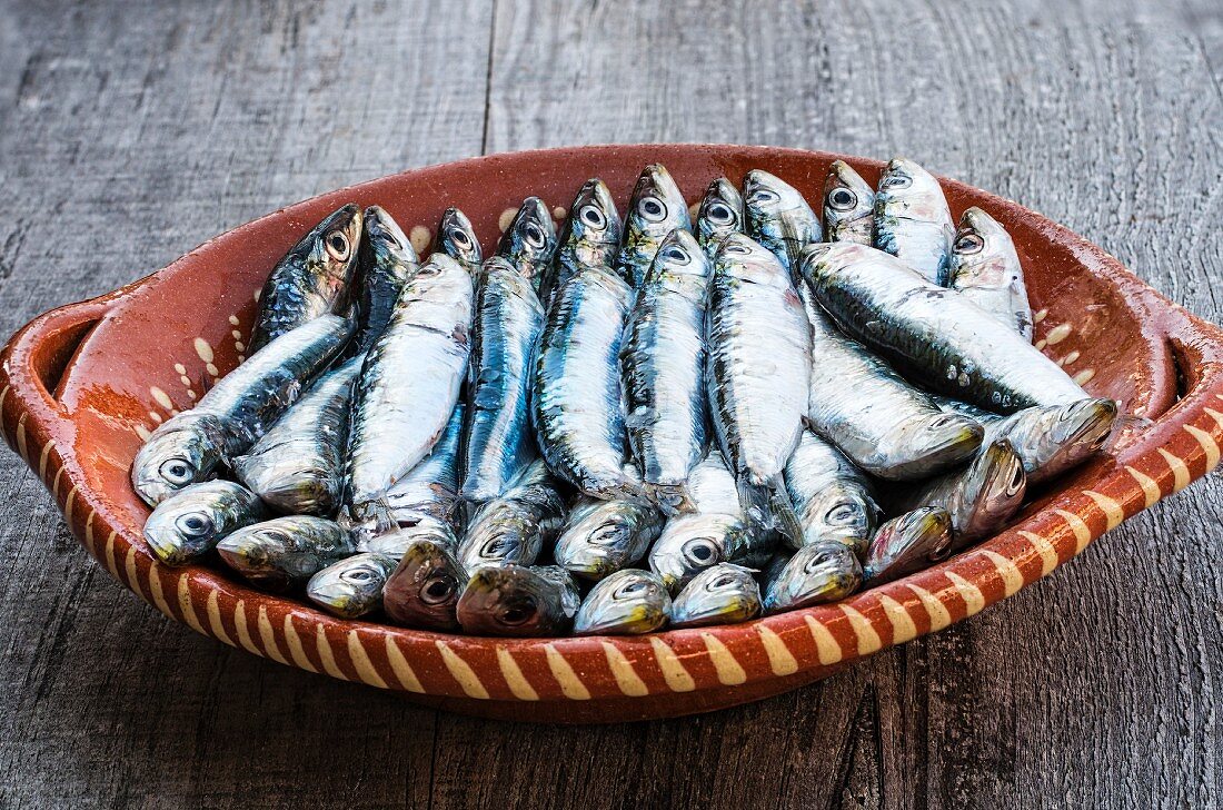 Sardines