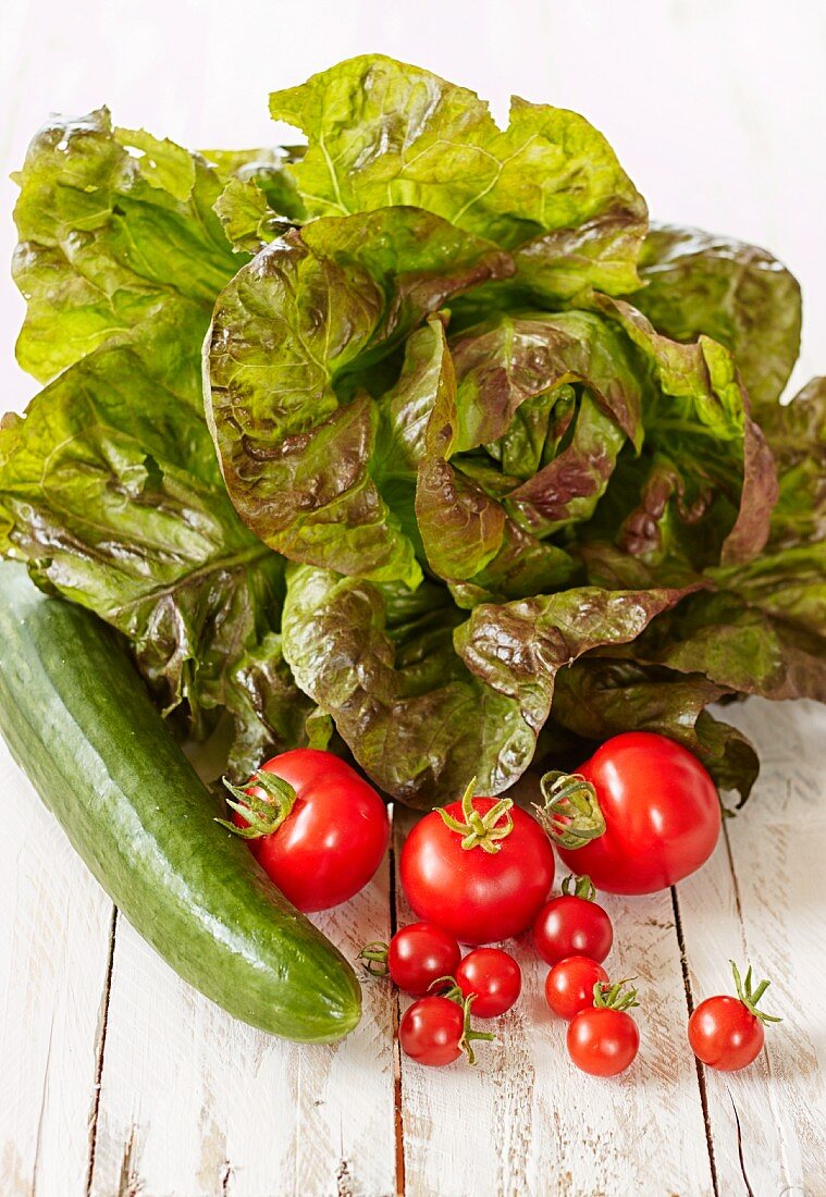 A lettuce with cucumber and tomatoes