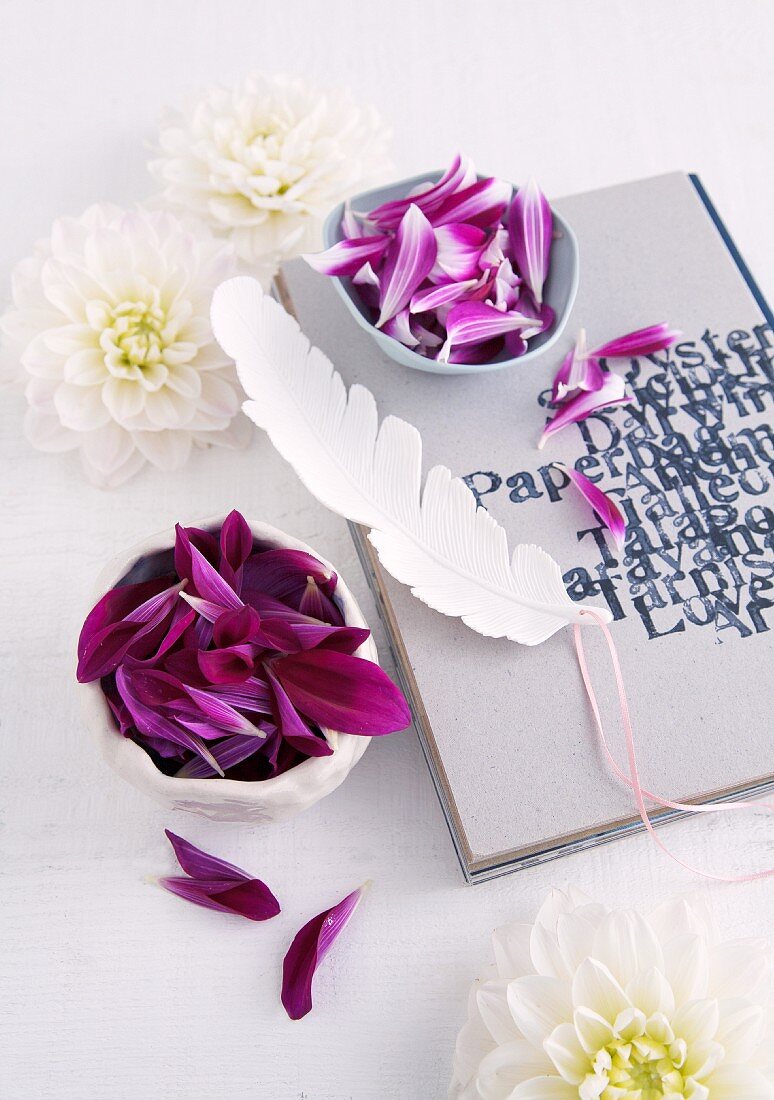 White dahlia flowers, china bowls of purple petals and white feather on diary with printed cover