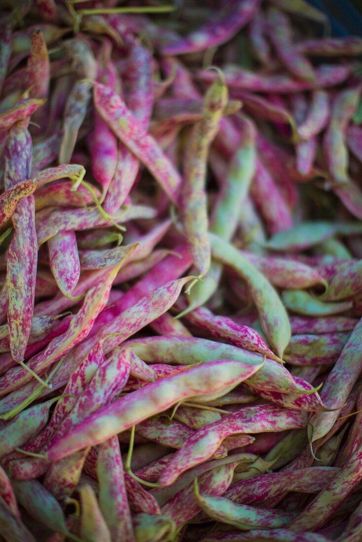 Borlotti beans