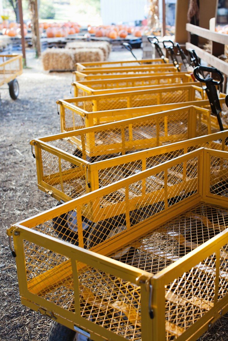 Gelbe Transportwägen auf Bauernhof