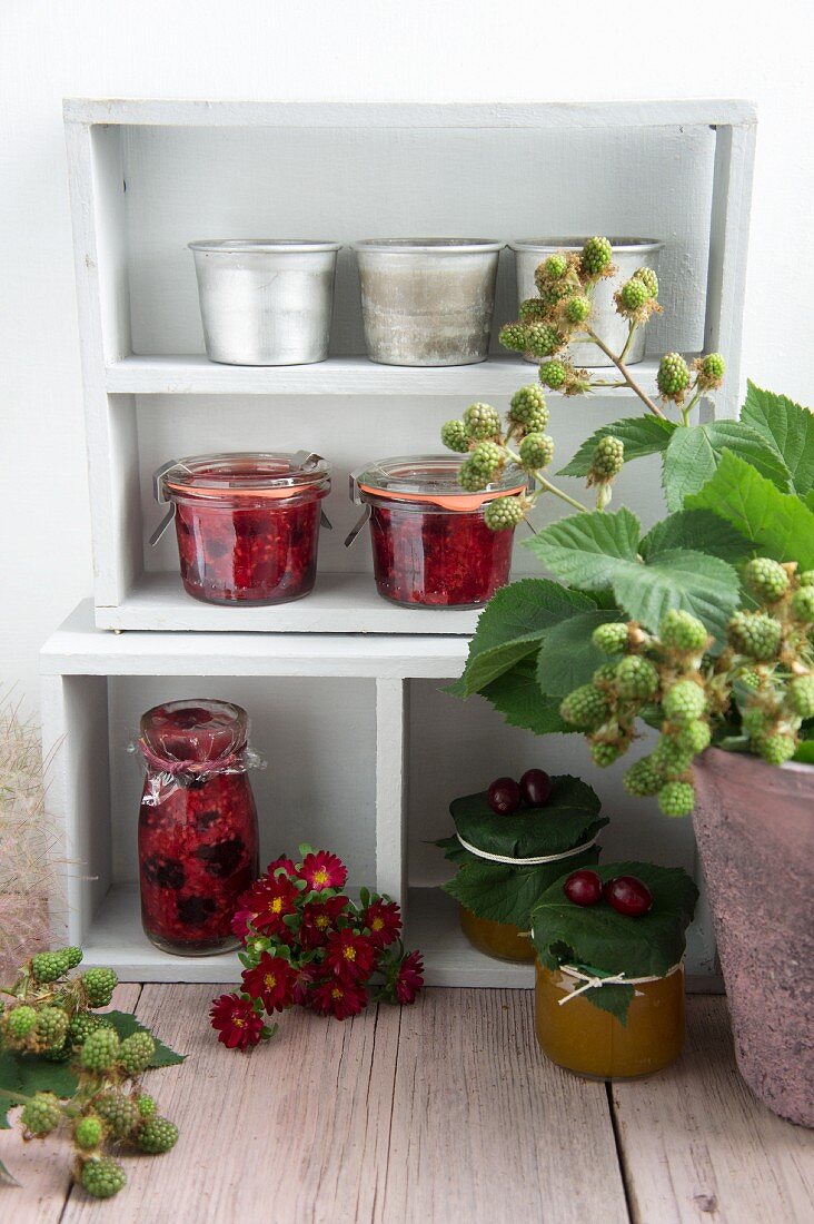 Various types of jam and blackberries sprigs on a shelf