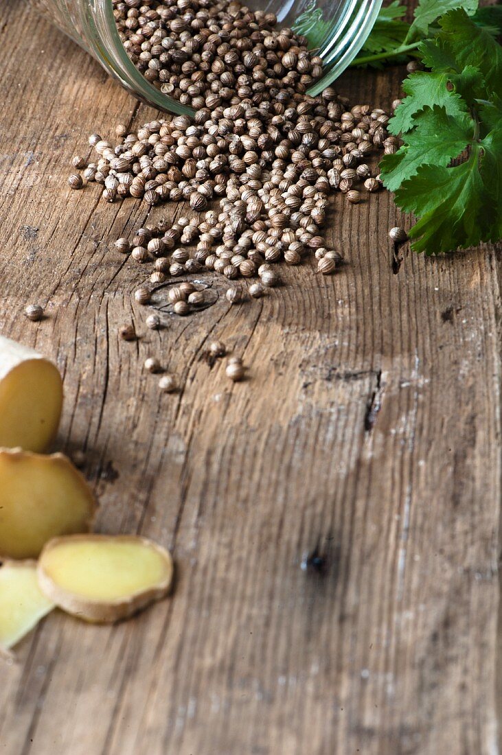 Coriander seeds on a wooden surface with fresh sliced ginger and coriander leaves